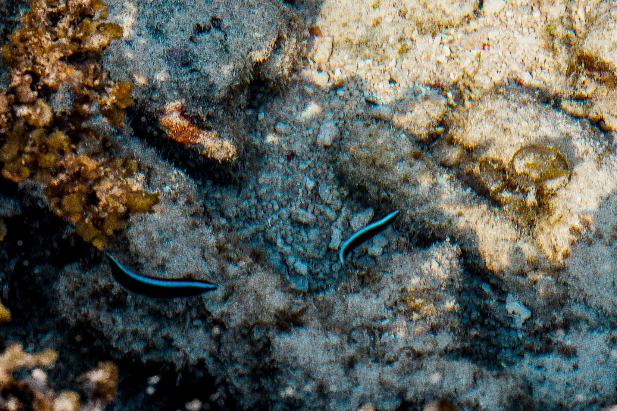 DSC04581_Crop.jpg
