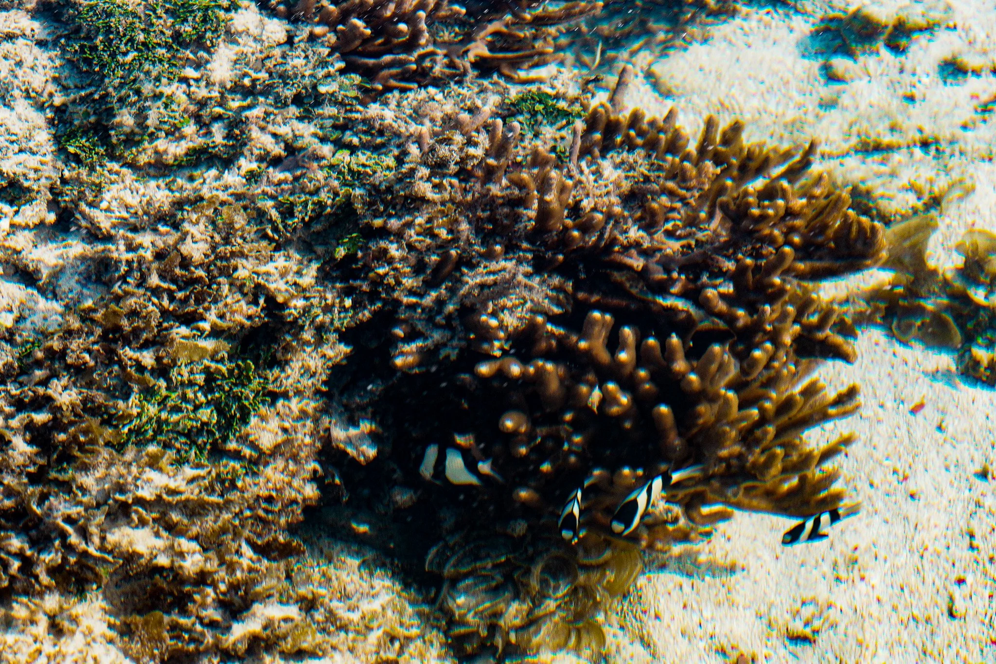 DSC04714_Crop.jpg