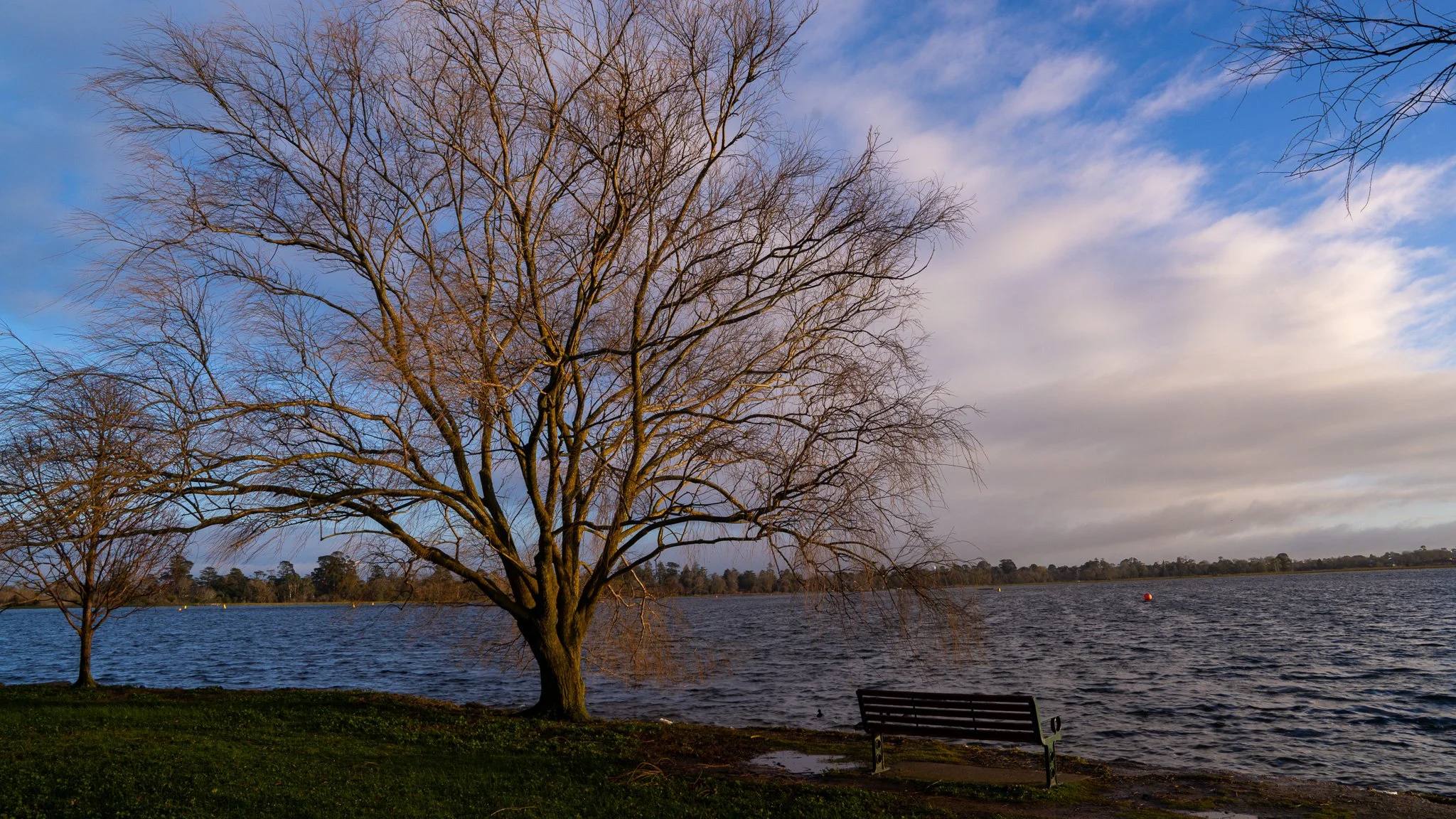 Lake Wendouree