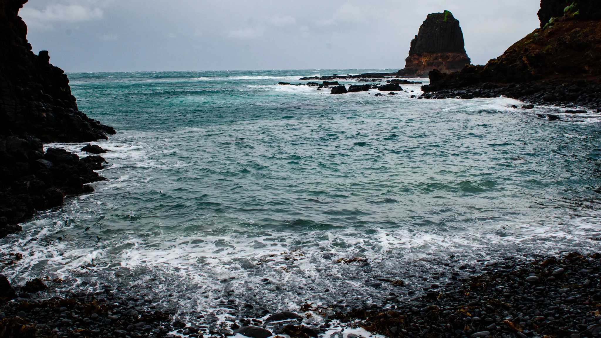 DSC_6583.jpg