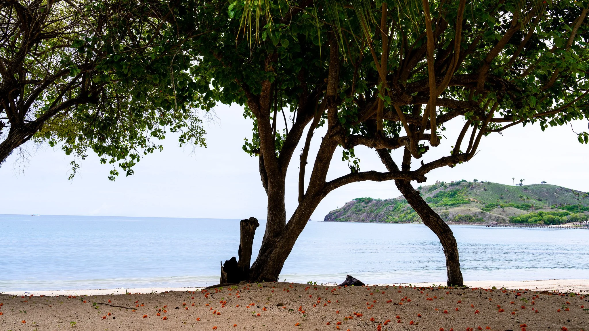 Waecicu Beach