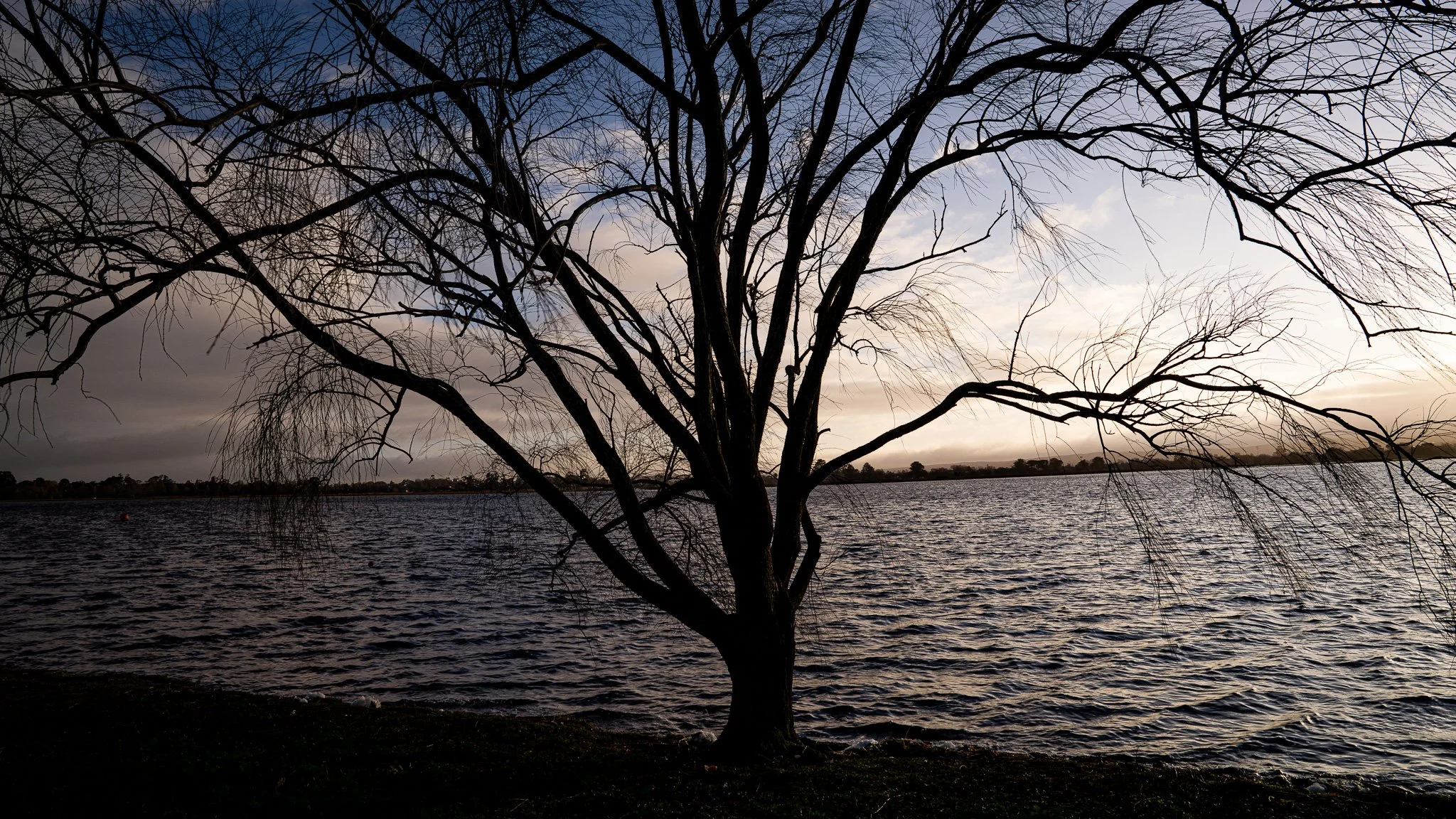 Lake Wendouree