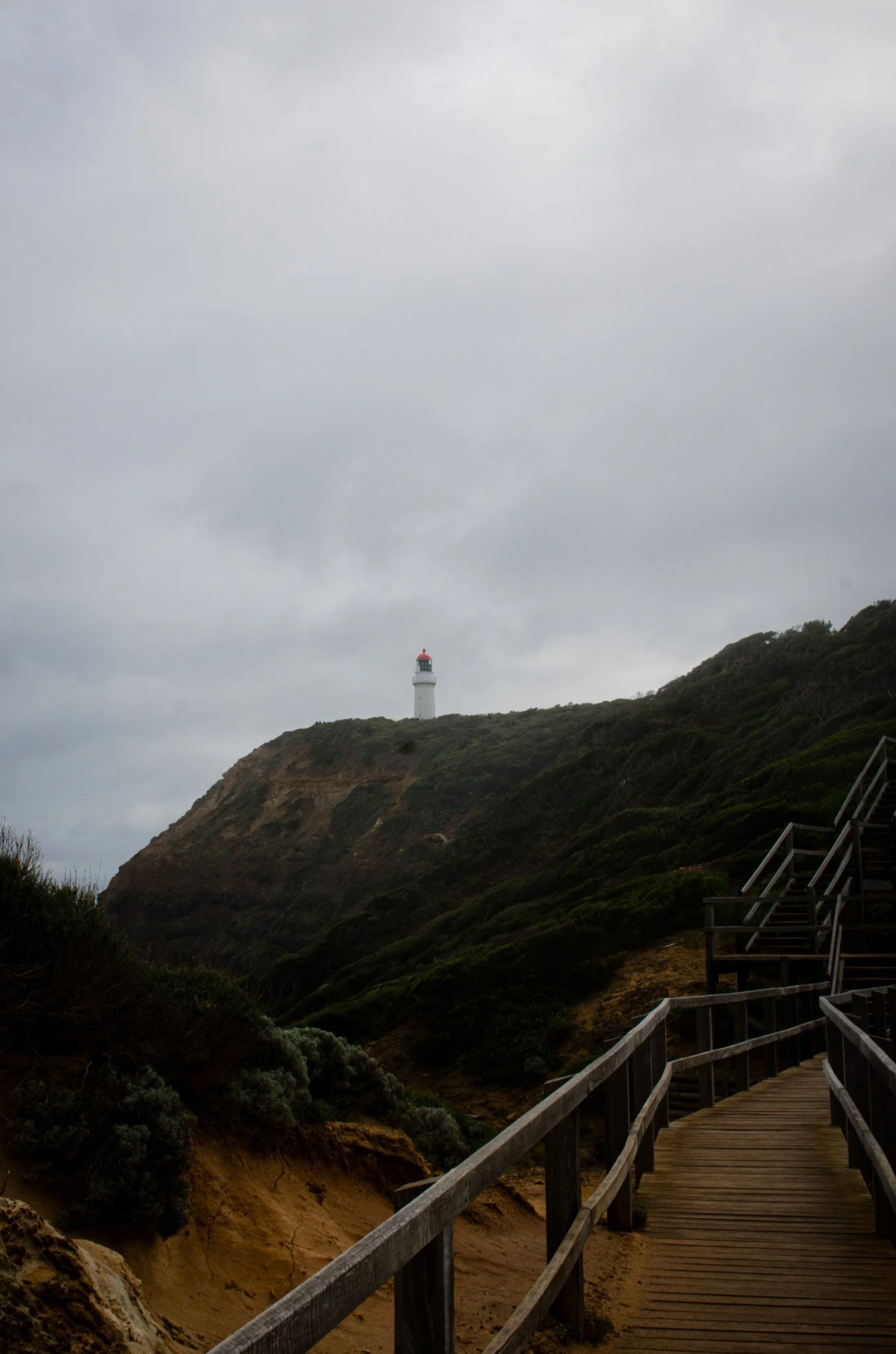 DSC_6645.jpg