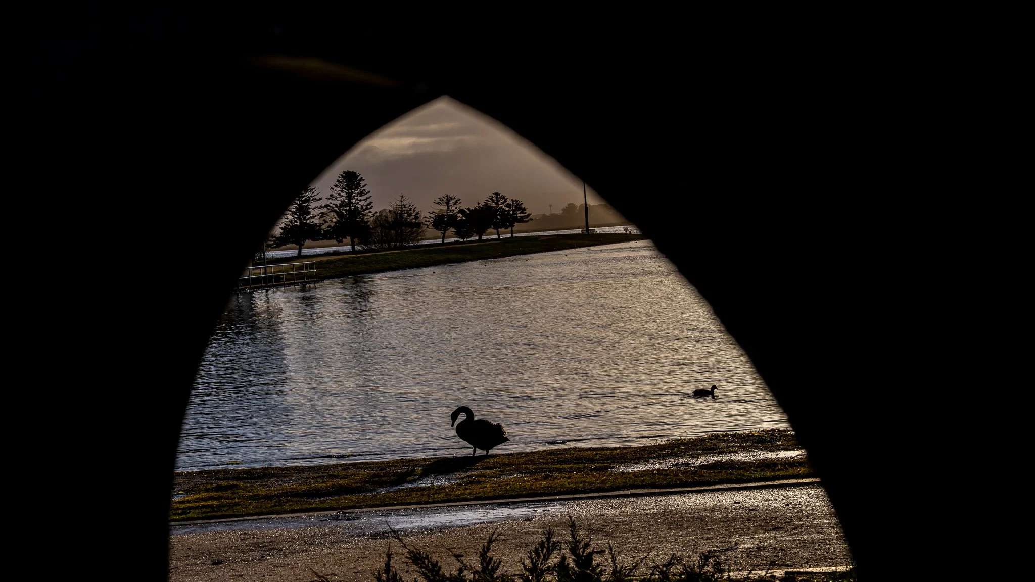 Lake Wendouree