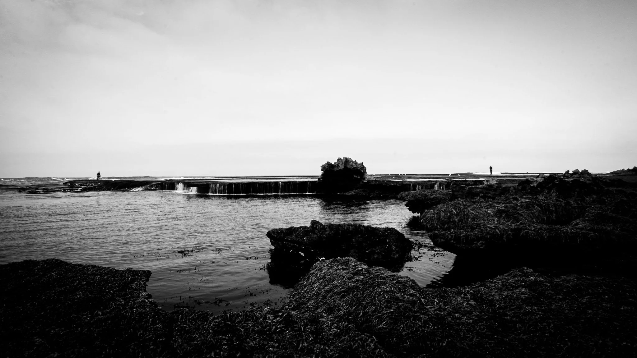 DSC_3779.jpg
