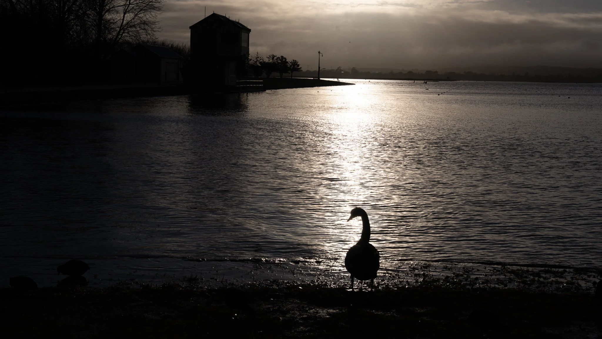 Lake Wendouree