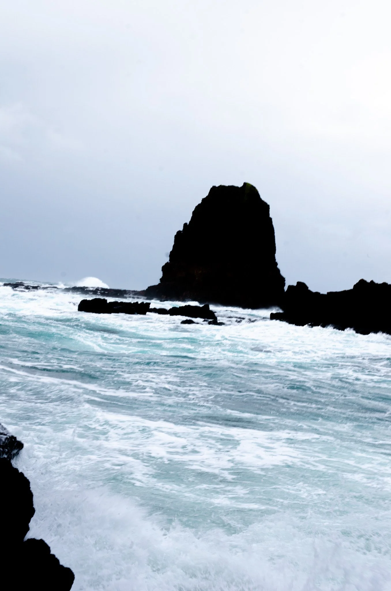 DSC_6566.jpg