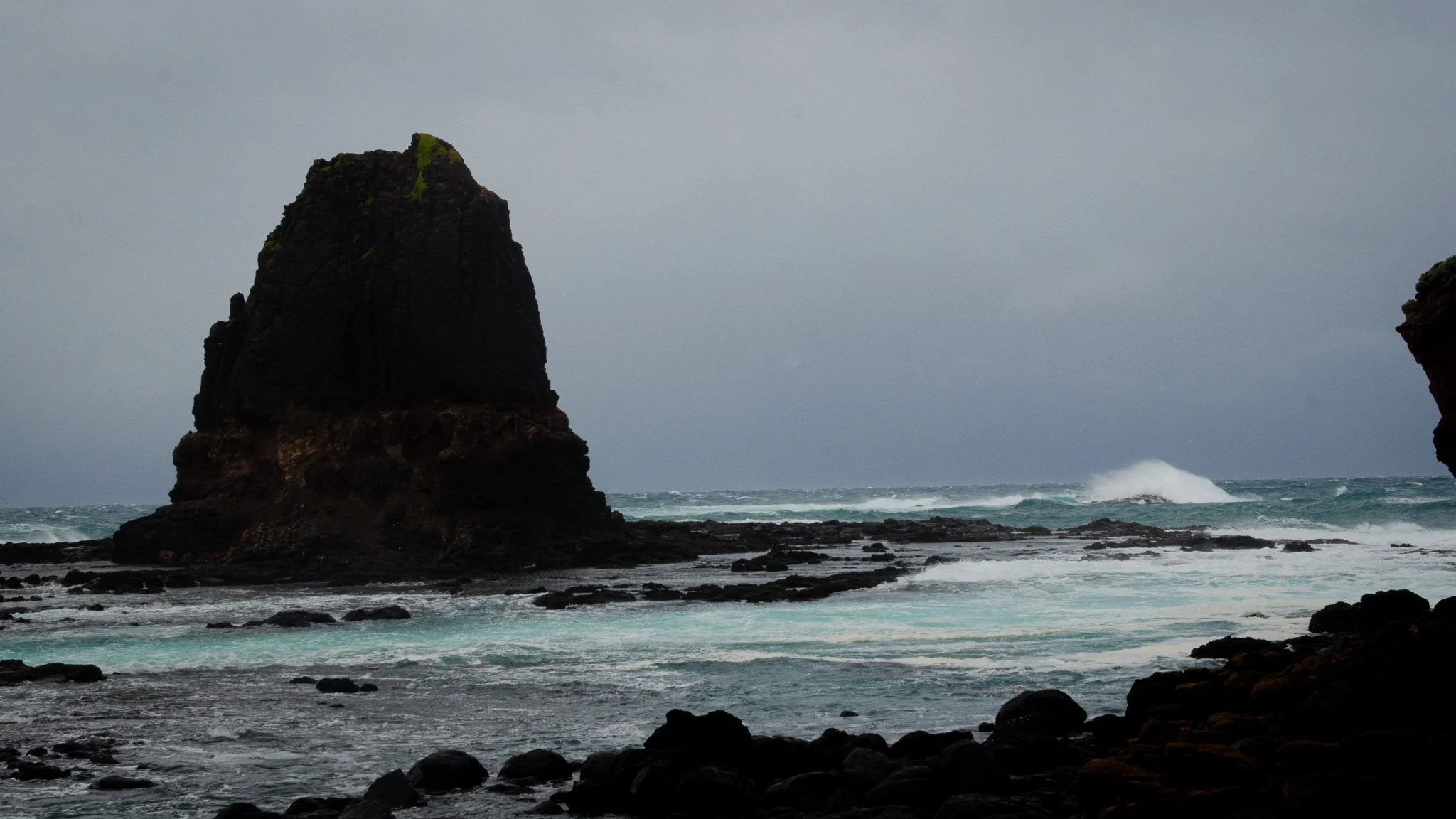 DSC_6615.jpg
