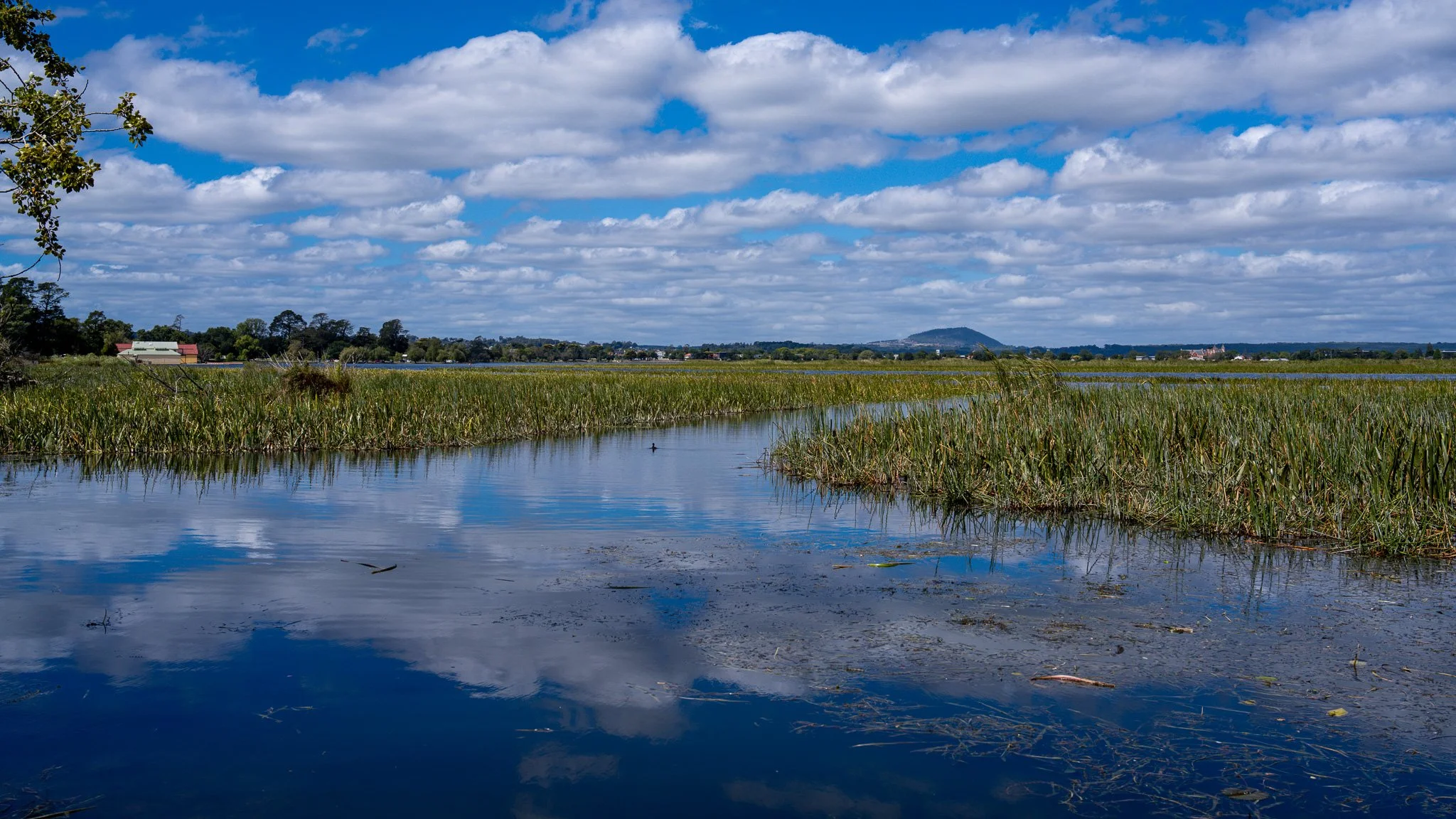 Lake Wendouree