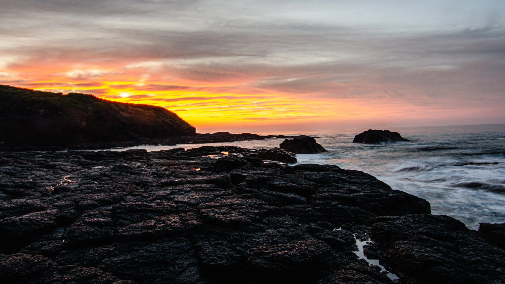 DSC_3595.jpg