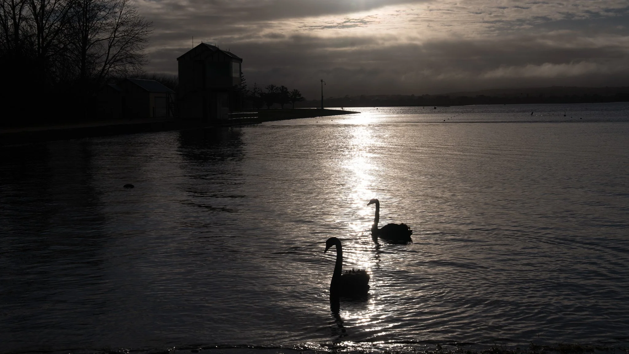 Lake Wendouree