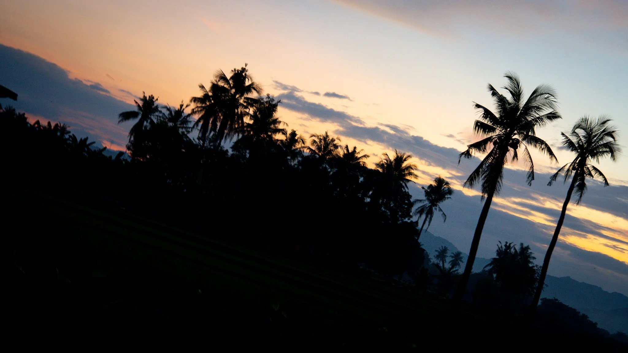 Rice paddies at Mbay