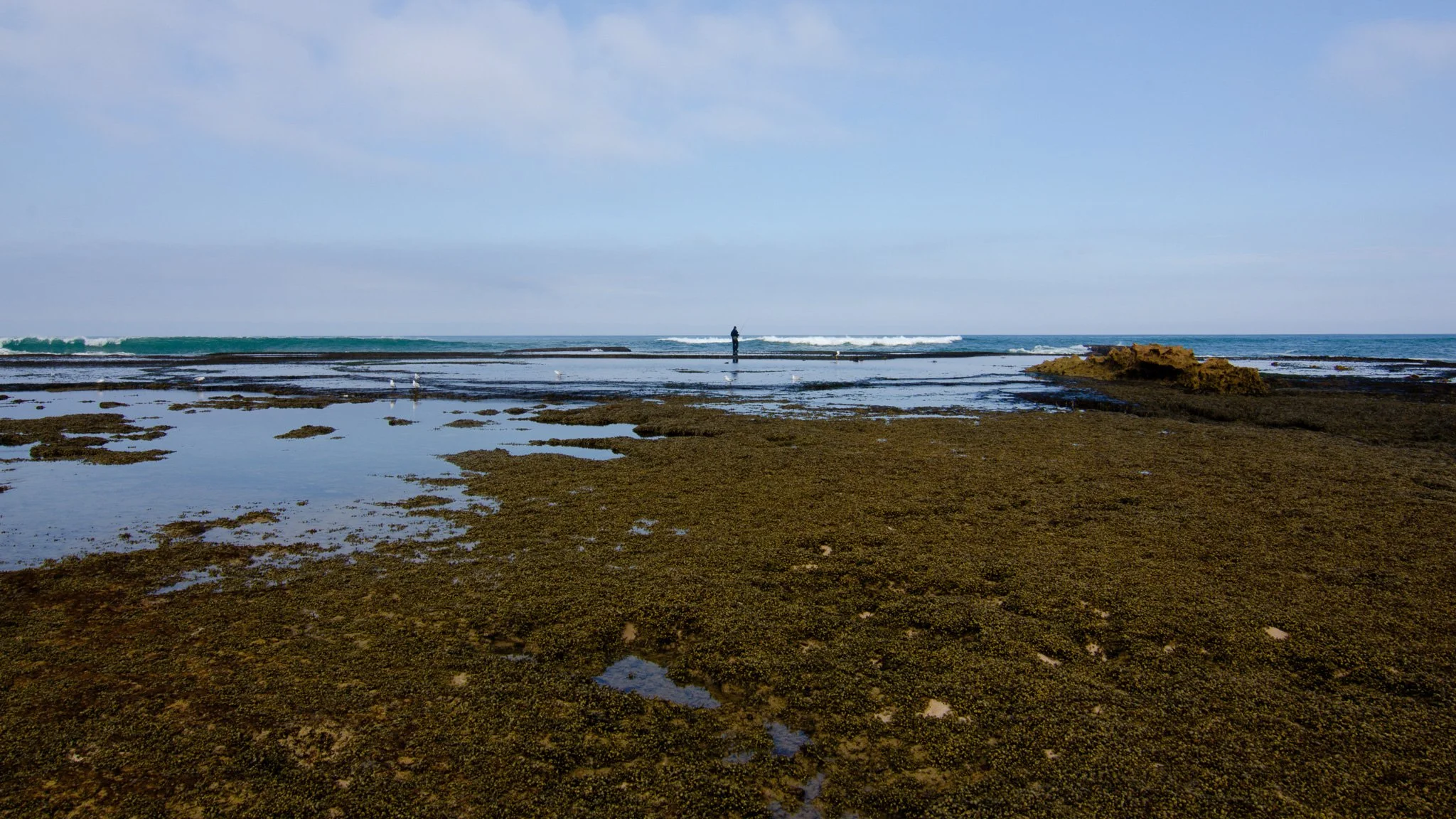DSC_3769.jpg