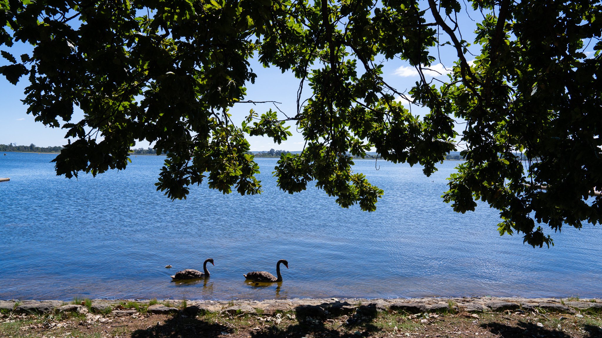 Lake Wendouree