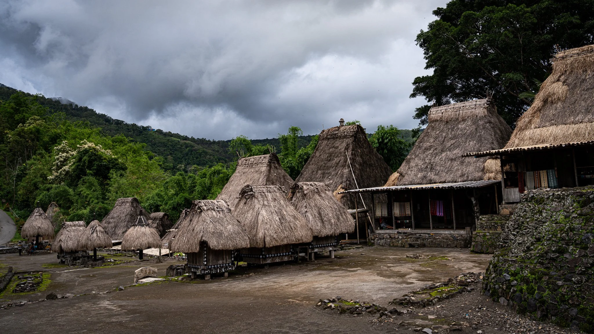Traditional Village of Ngada