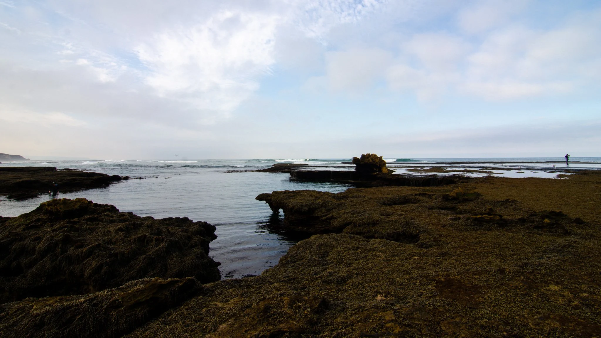 DSC_3762.jpg