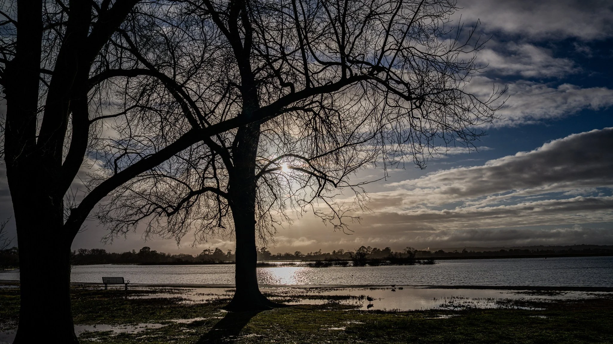Lake Wendouree