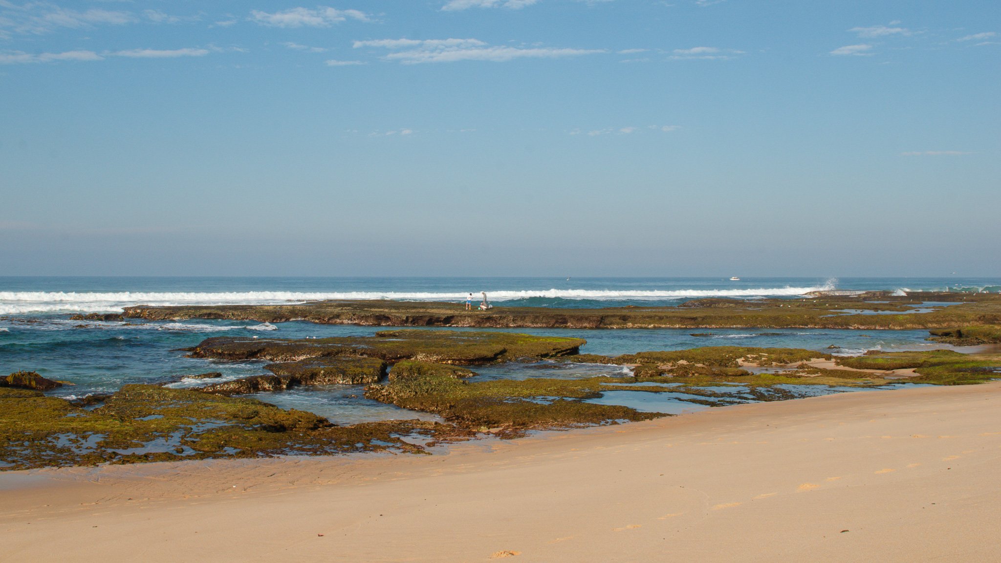 DSC_3702.jpg