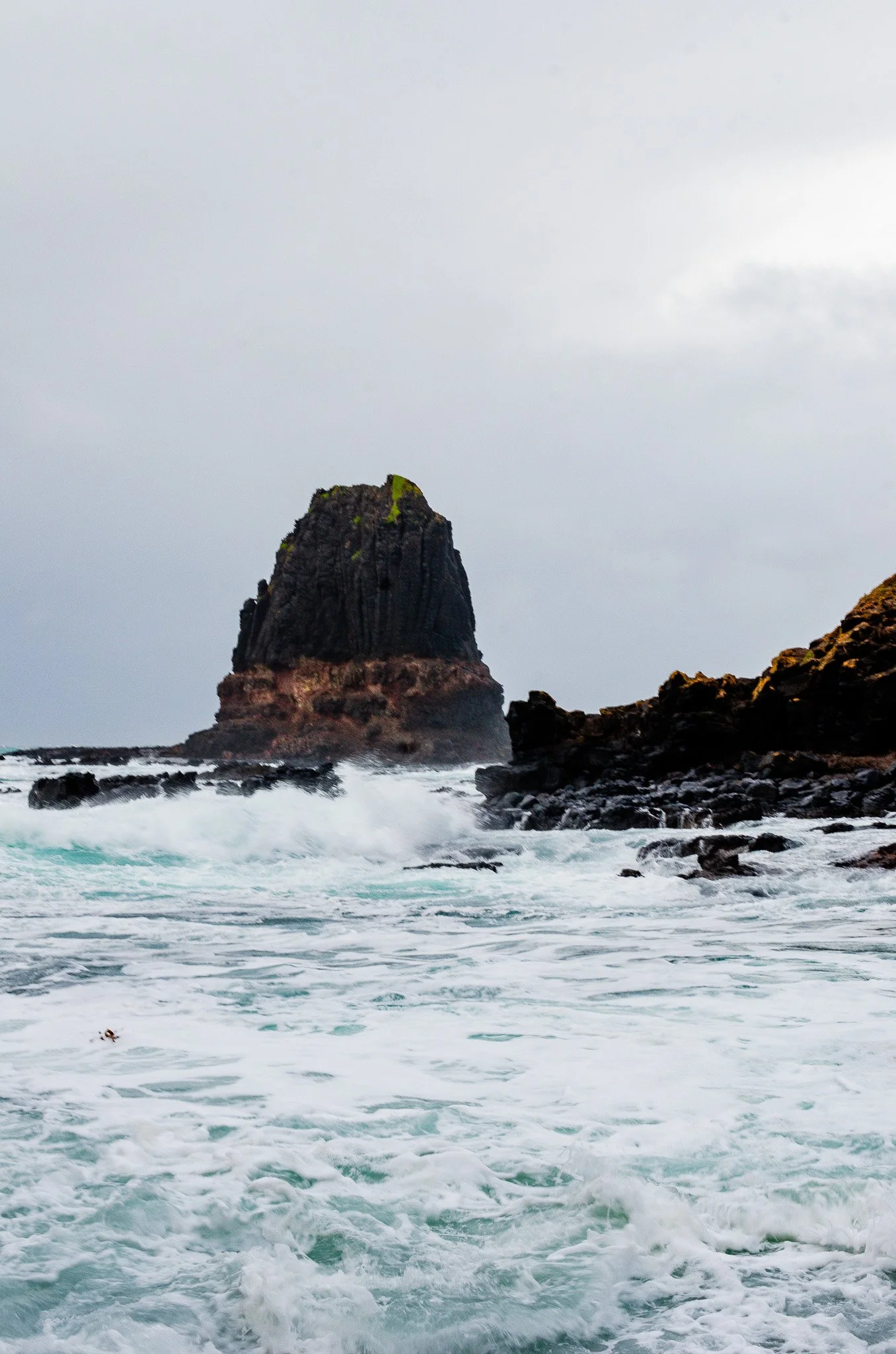 DSC_6562.jpg