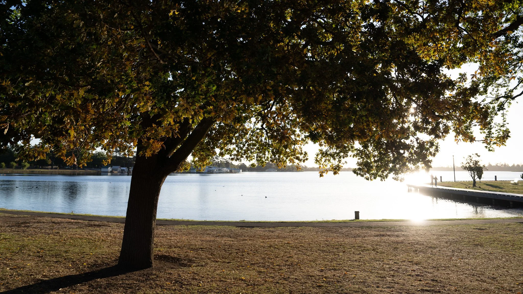 Lake Wendouree