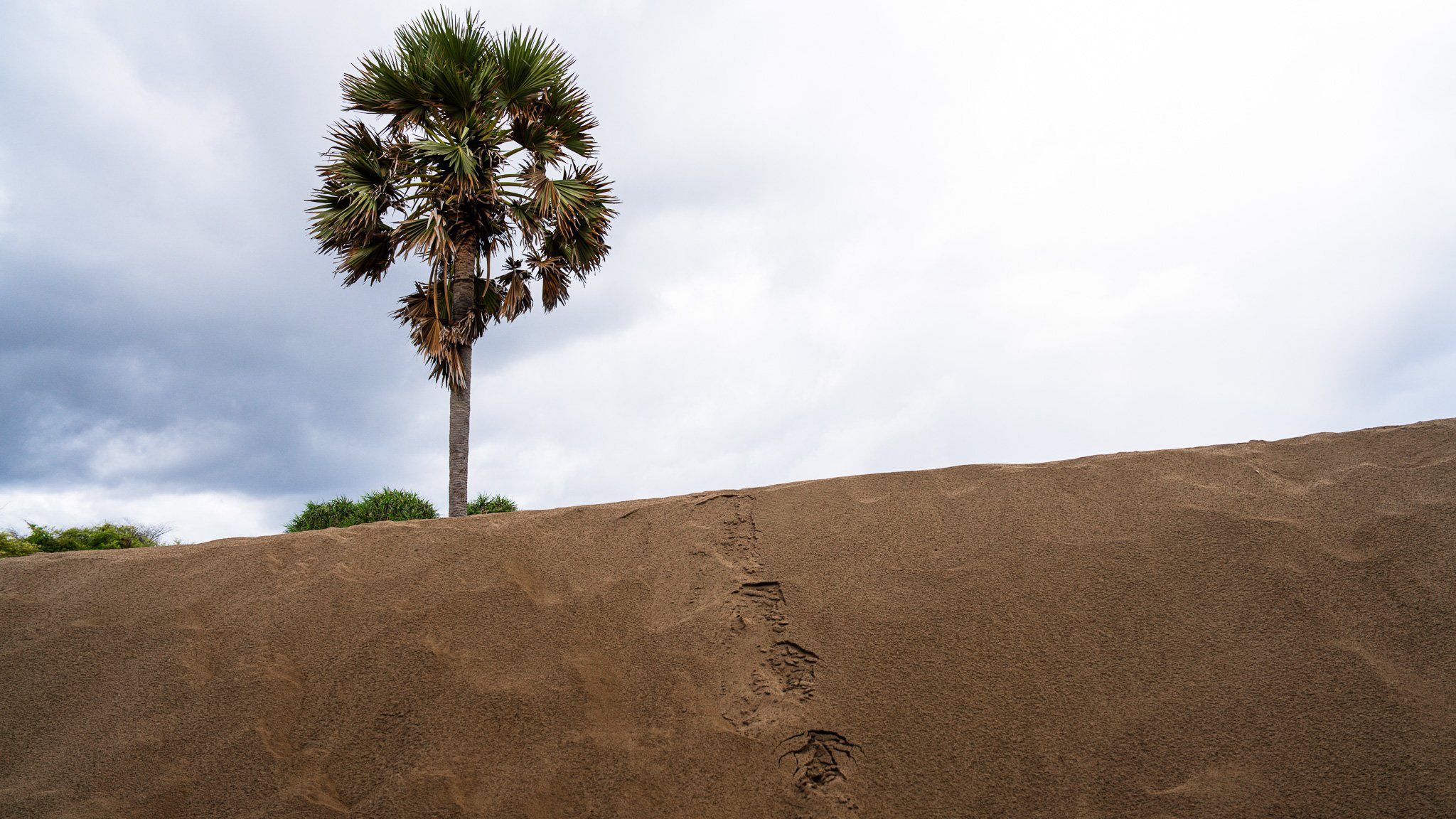 Sand Dune - Pantai Oetune