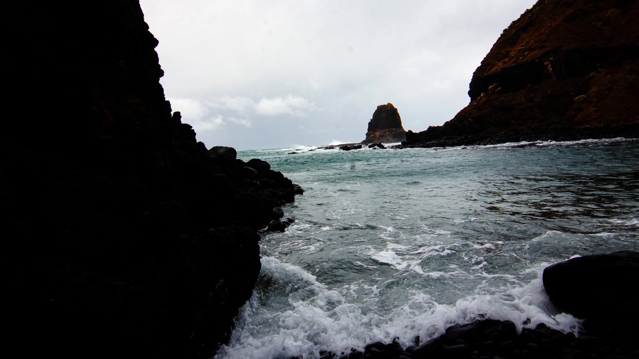 DSC_6559.jpg