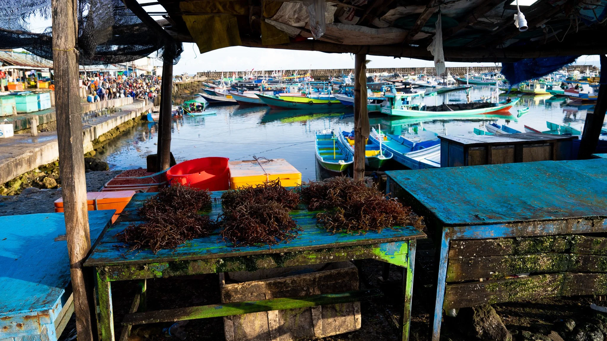 Oeba Fish Market