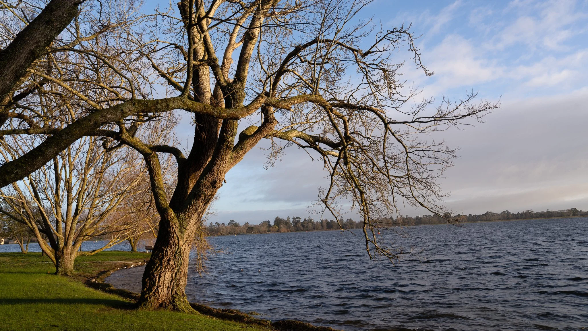 Lake Wendouree