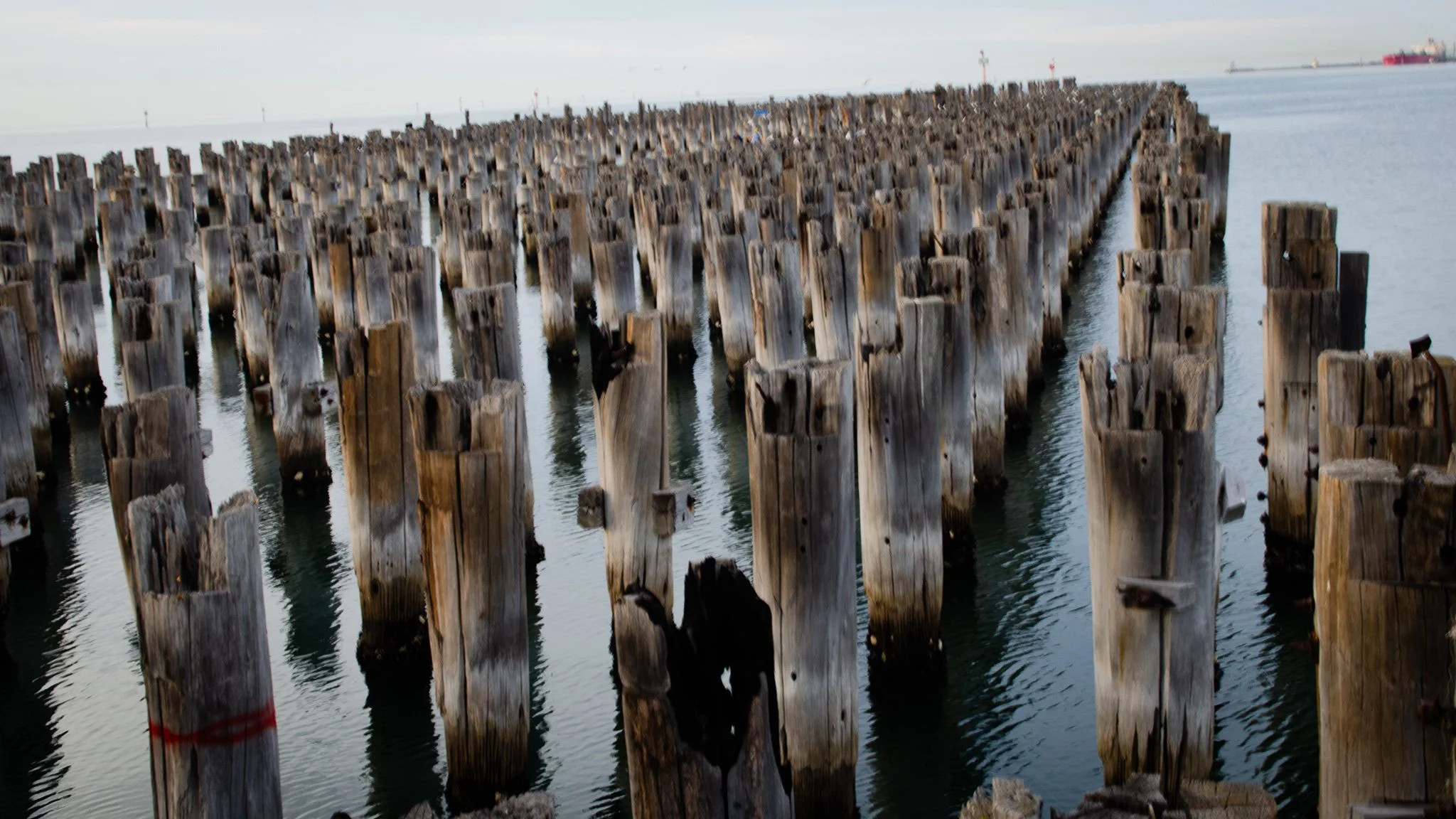 Princess Pier - Port Melbourne