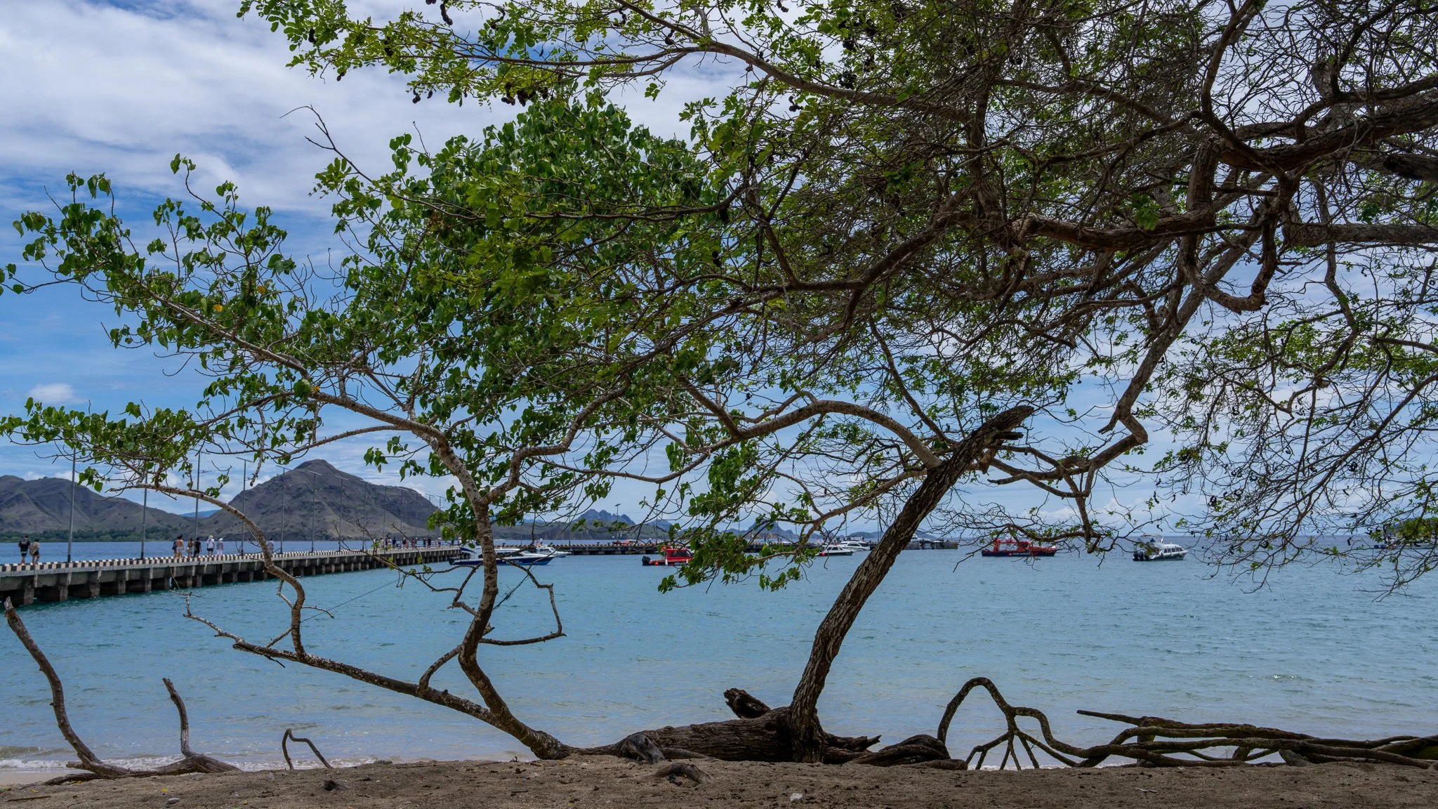 Komodo Island