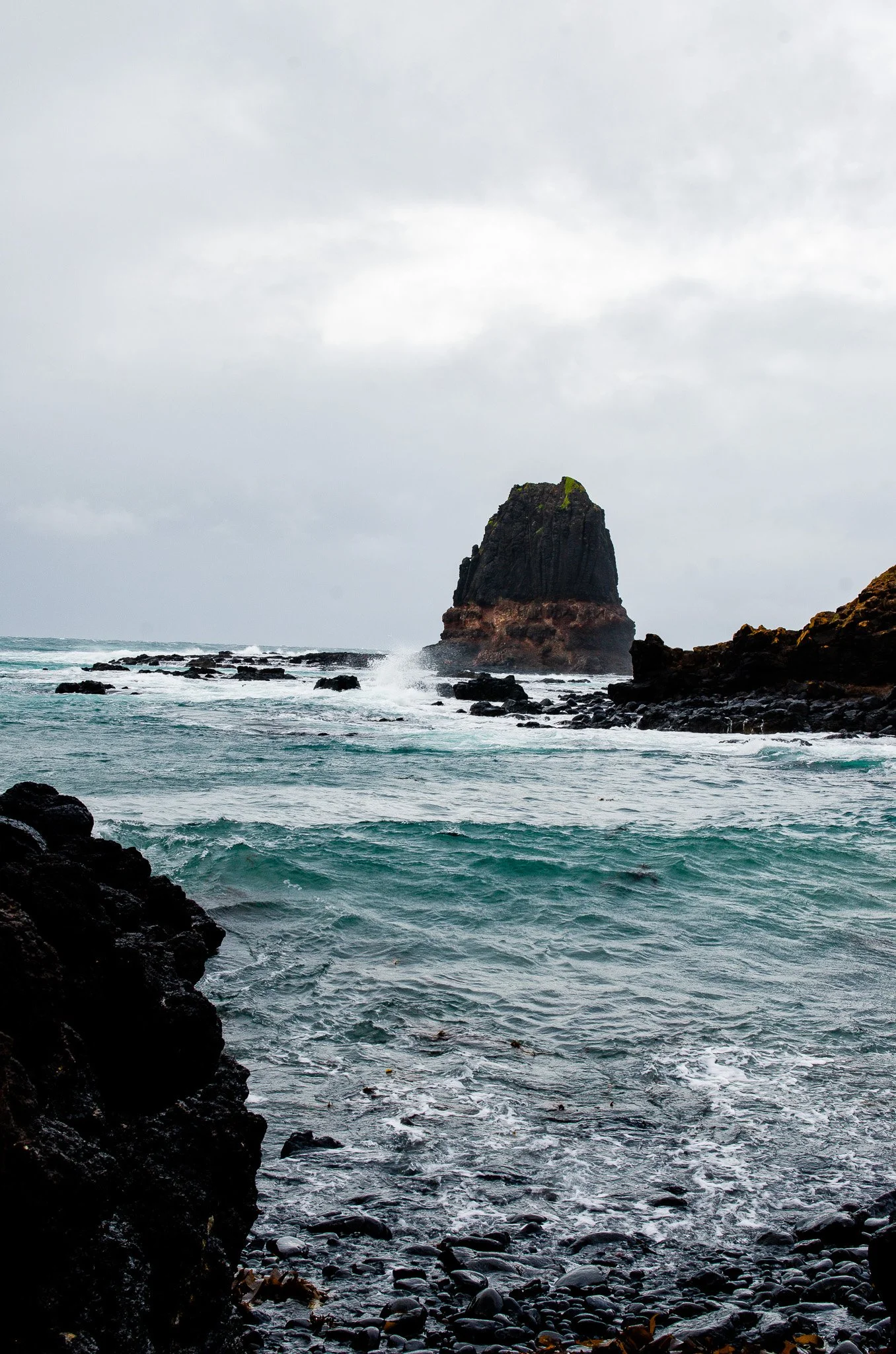 DSC_6579.jpg
