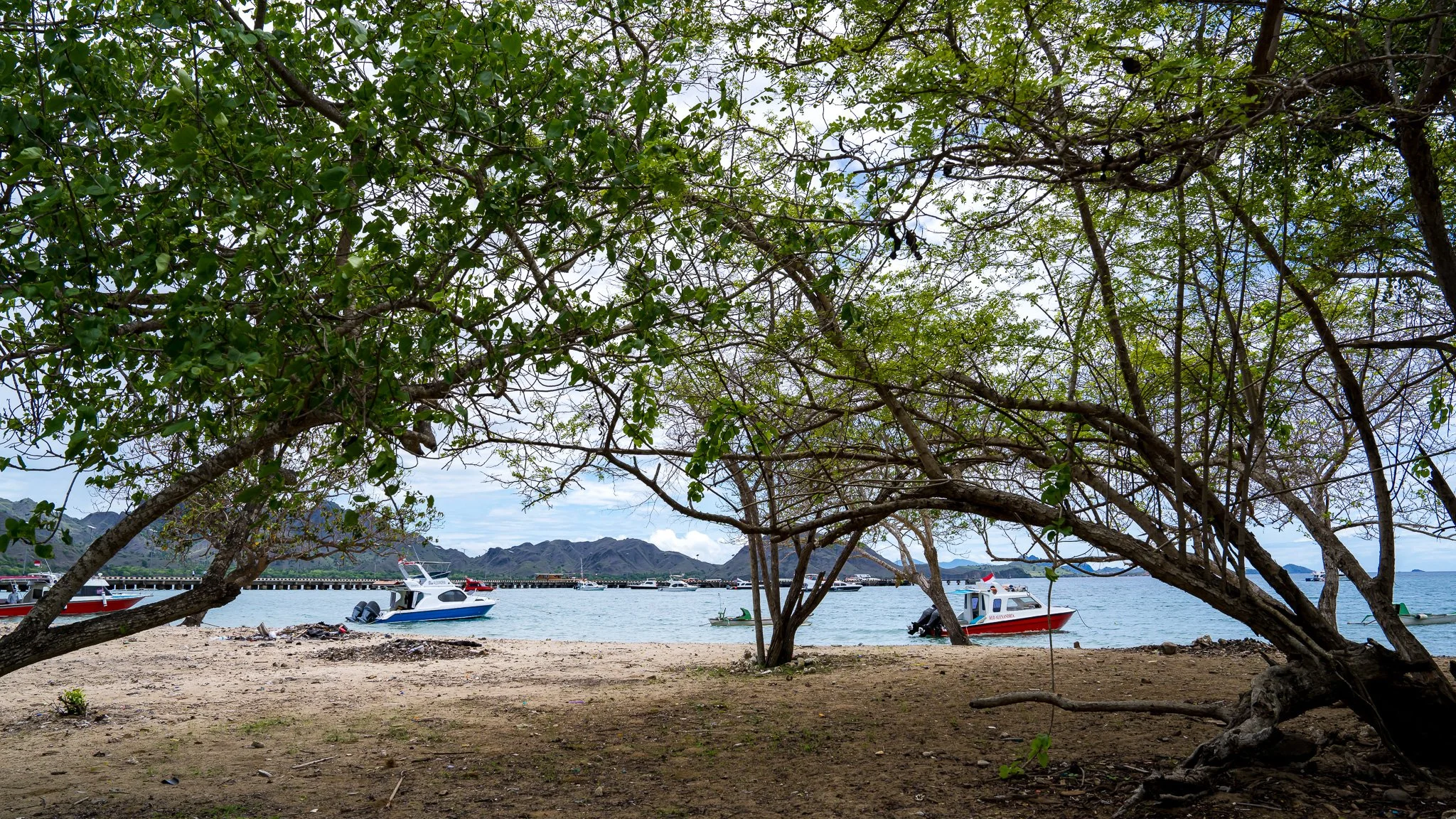 Komodo Island