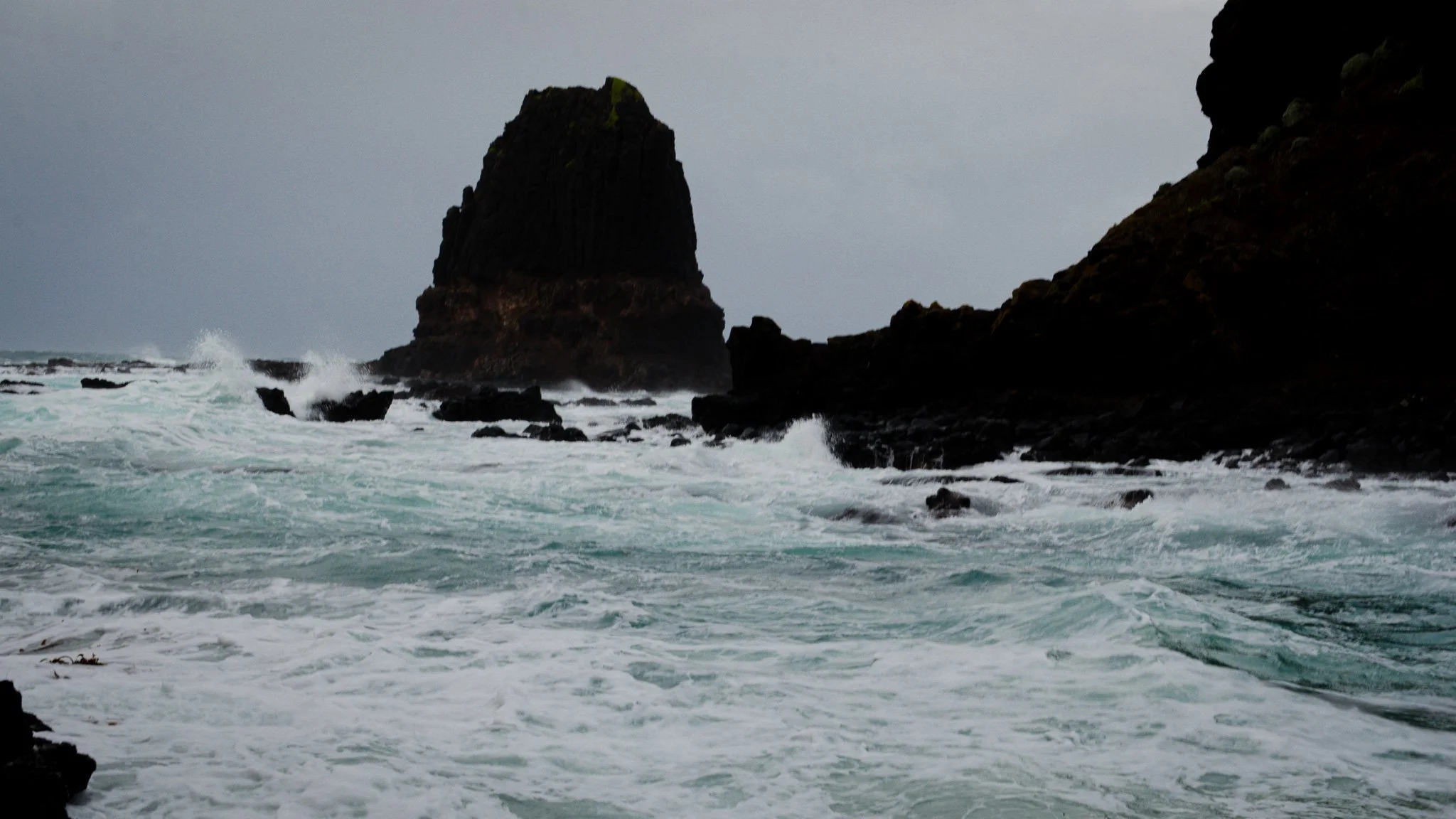 DSC_6568.jpg