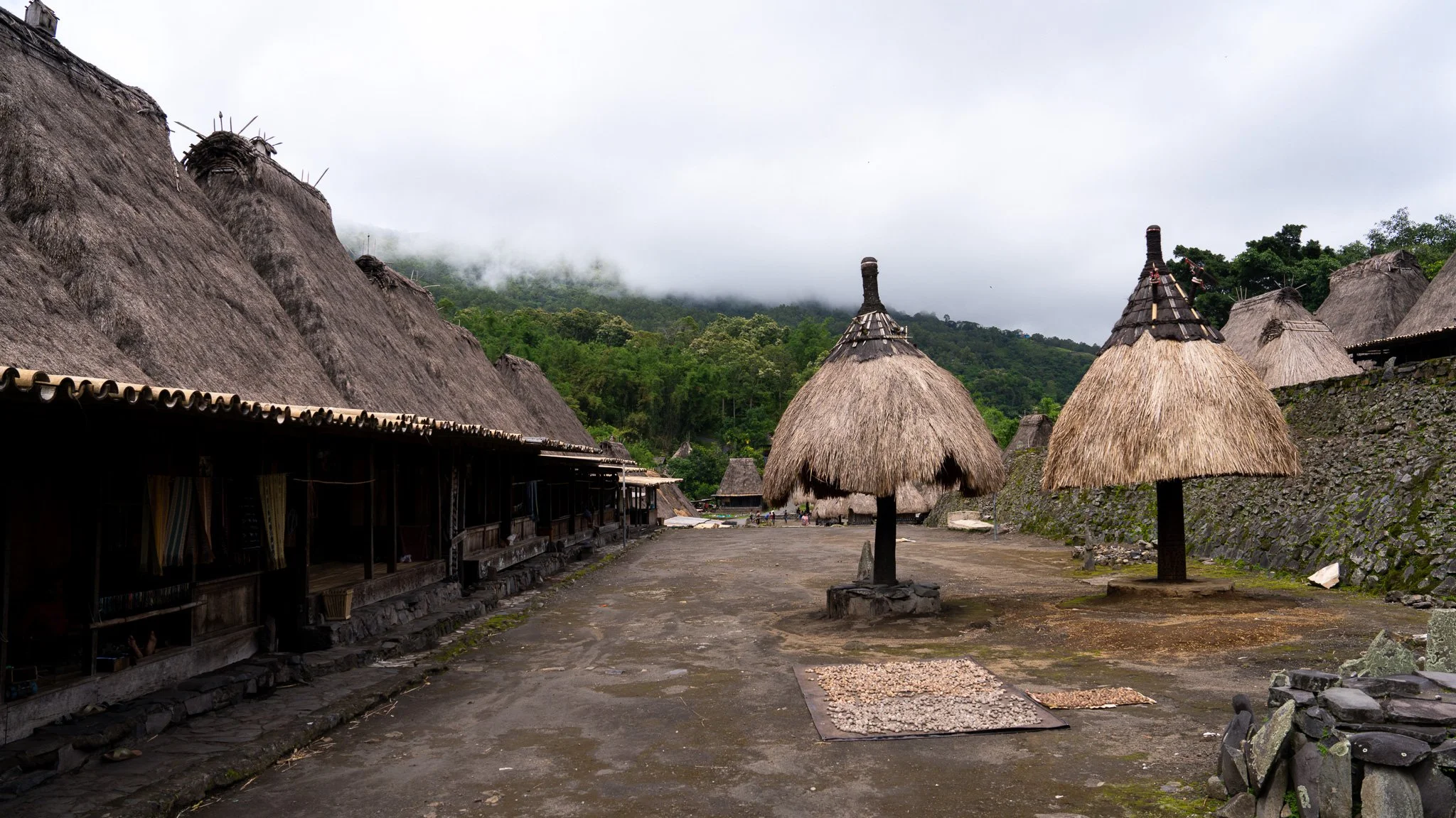 Traditional Village of Ngada
