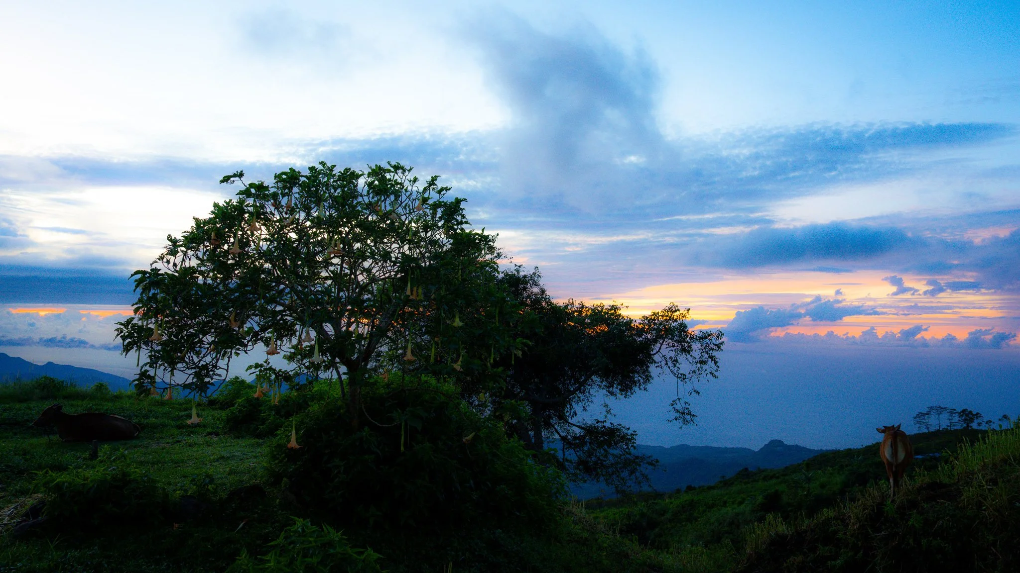 Mount Kelimutu