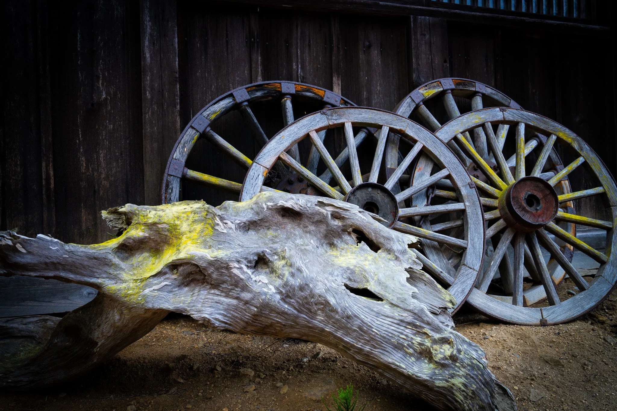 Four old wagon wheels and tree log at Nakasando Trail