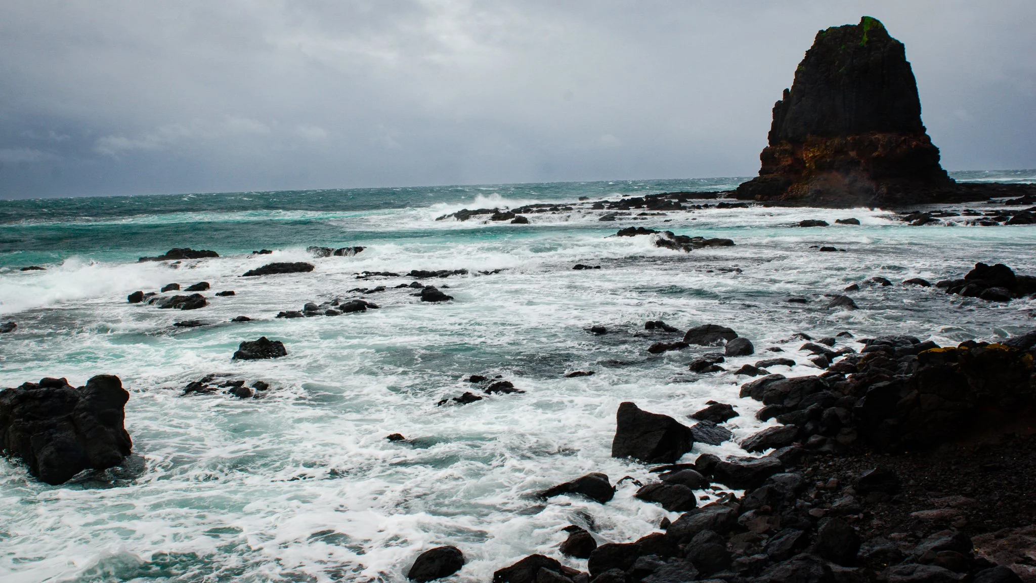 DSC_6632.jpg
