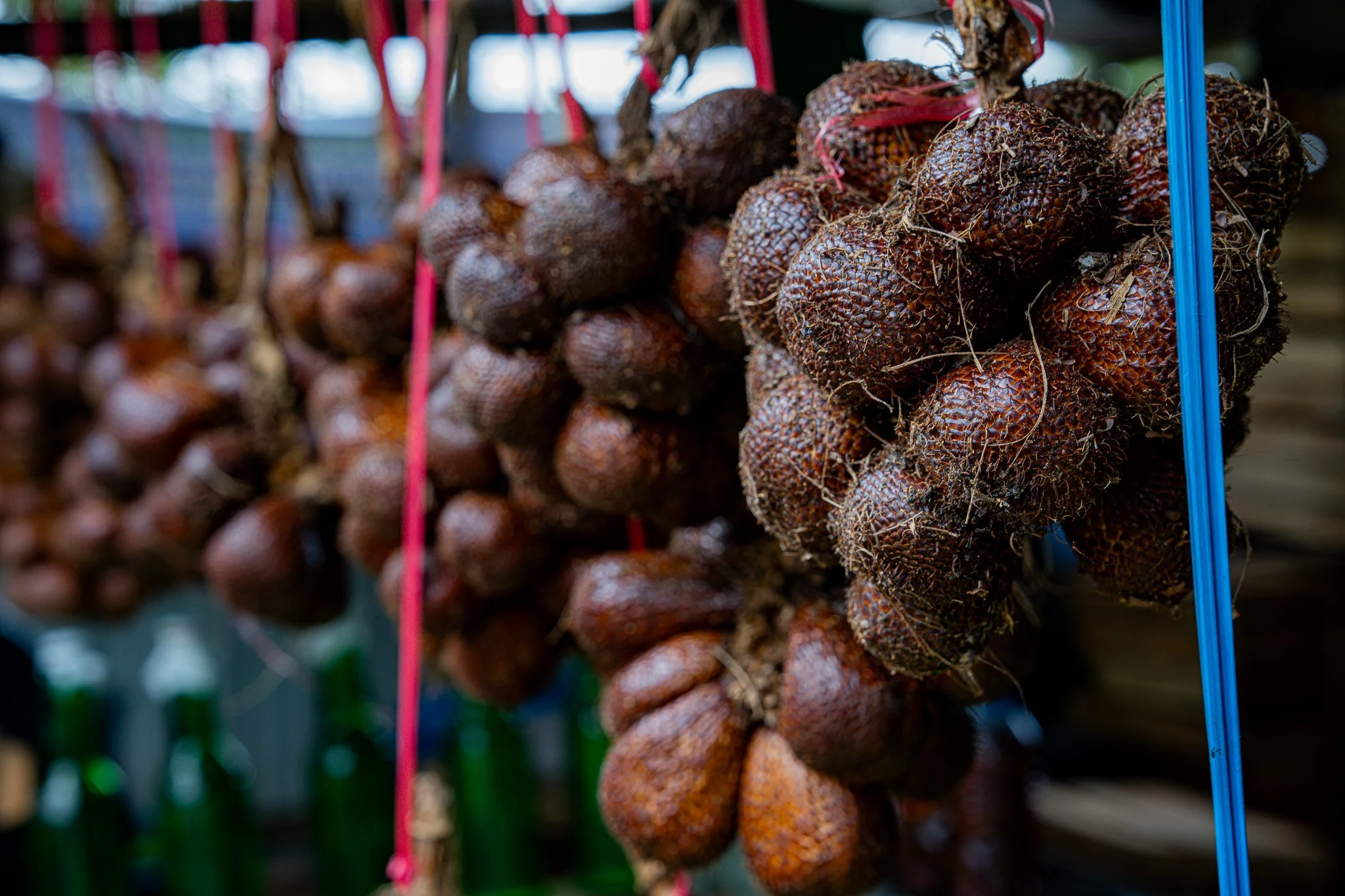 Fruits at Trans Flores Road