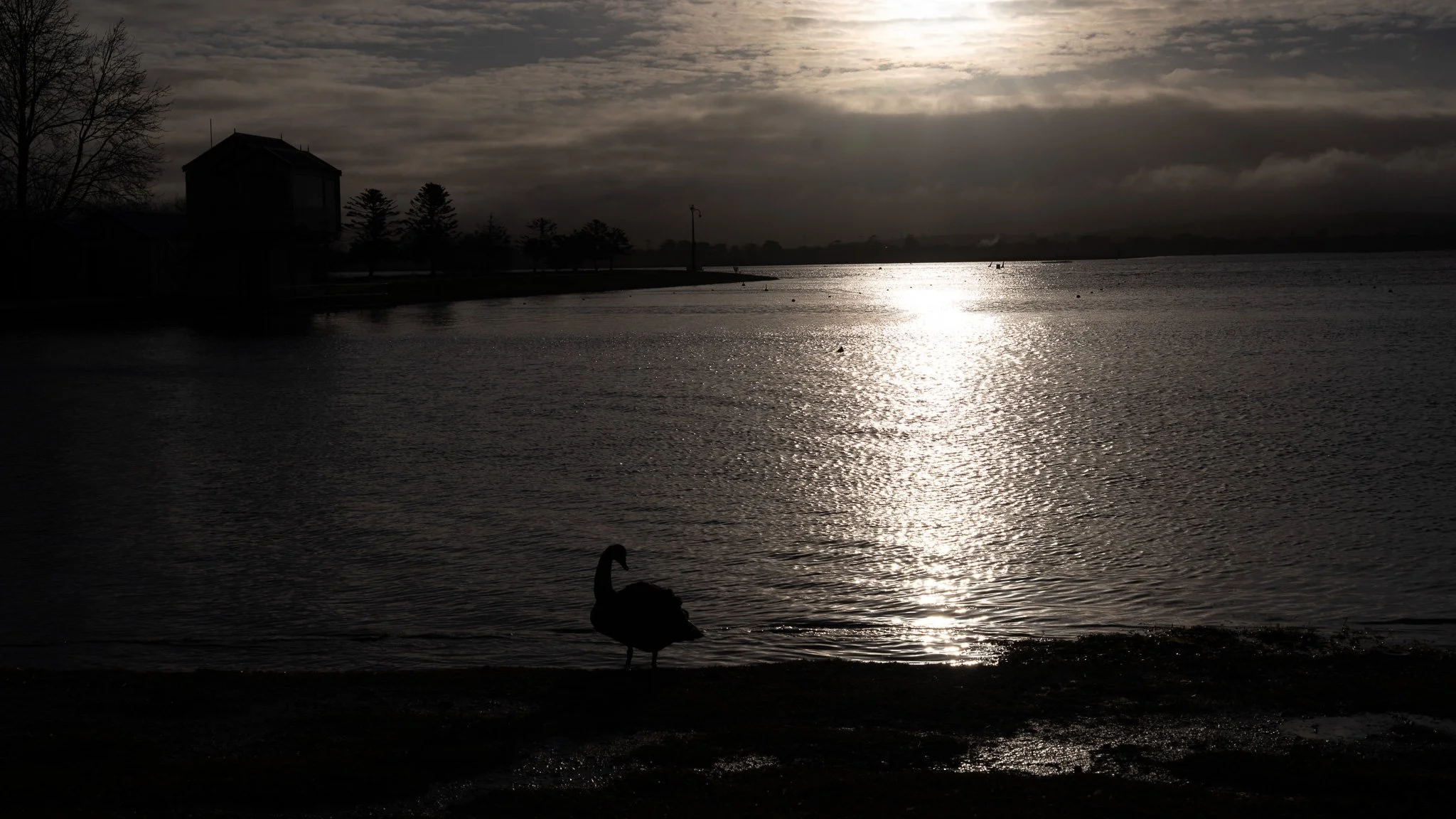 Lake Wendouree
