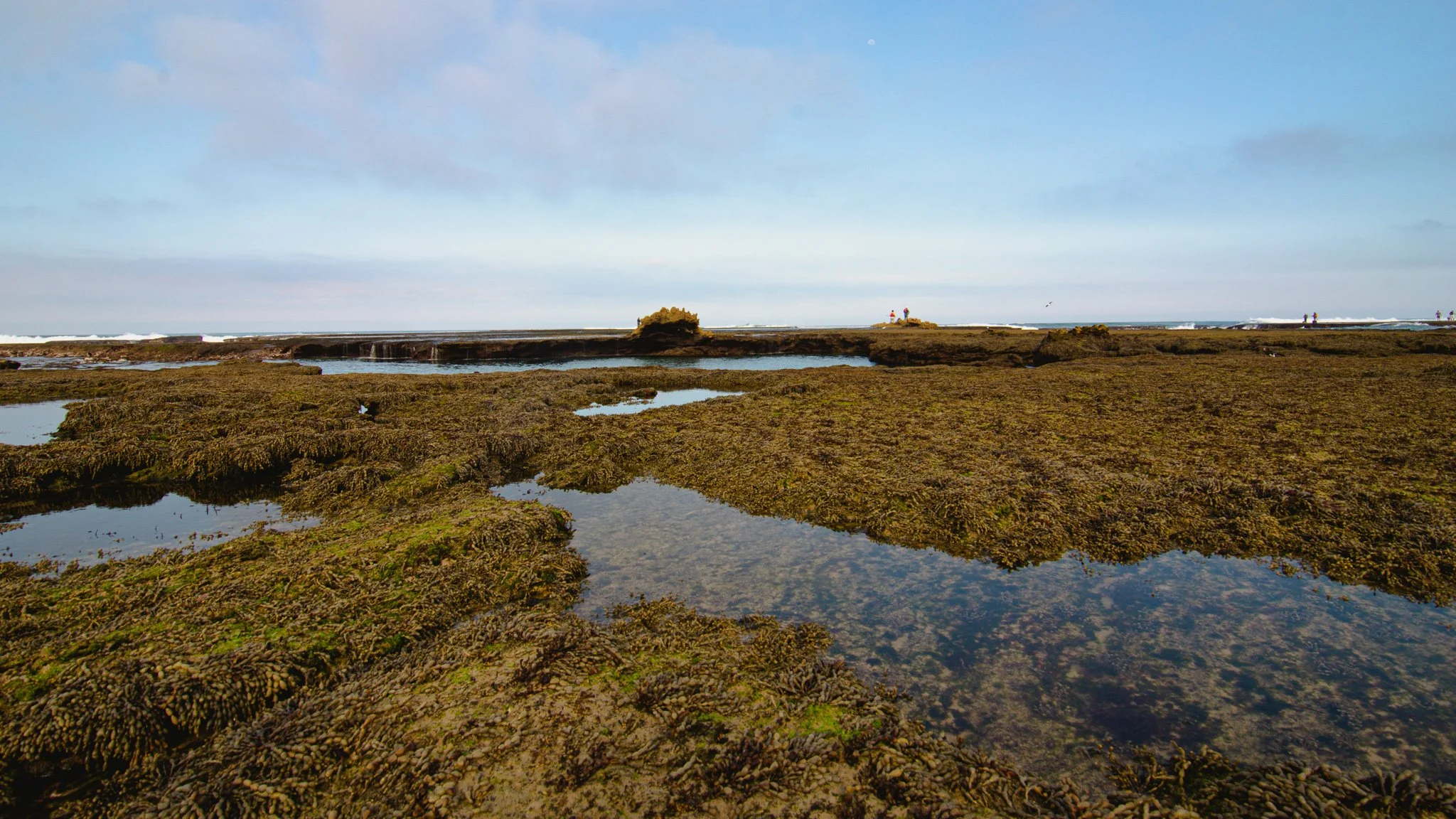 DSC_3755.jpg