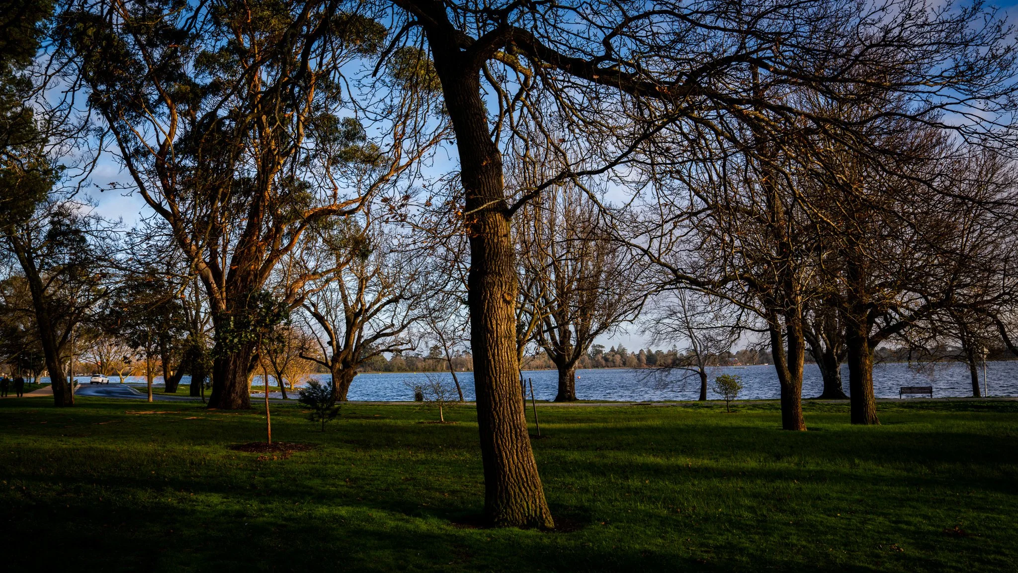 Lake Wendouree