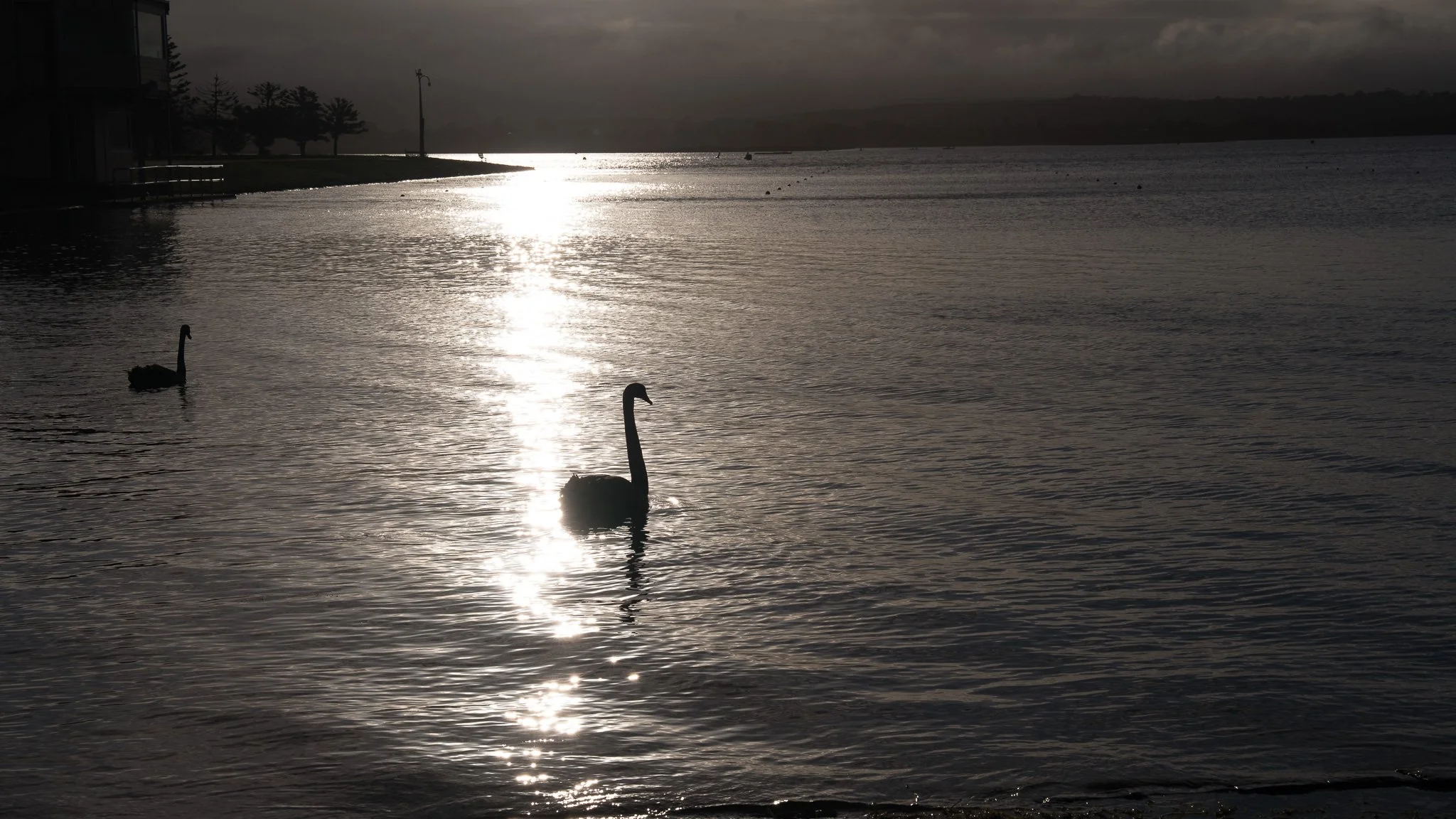 Lake Wendouree