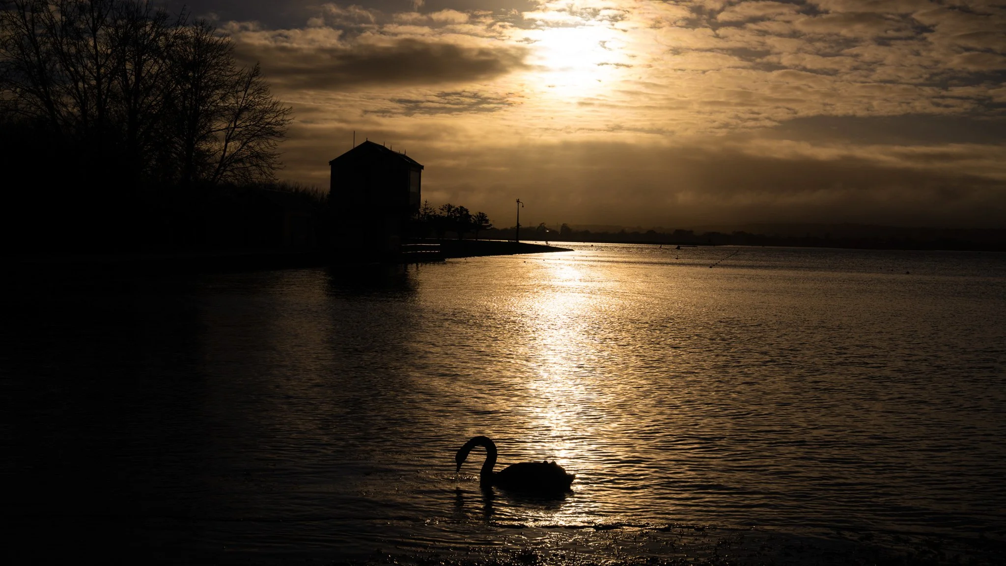 Lake Wendouree
