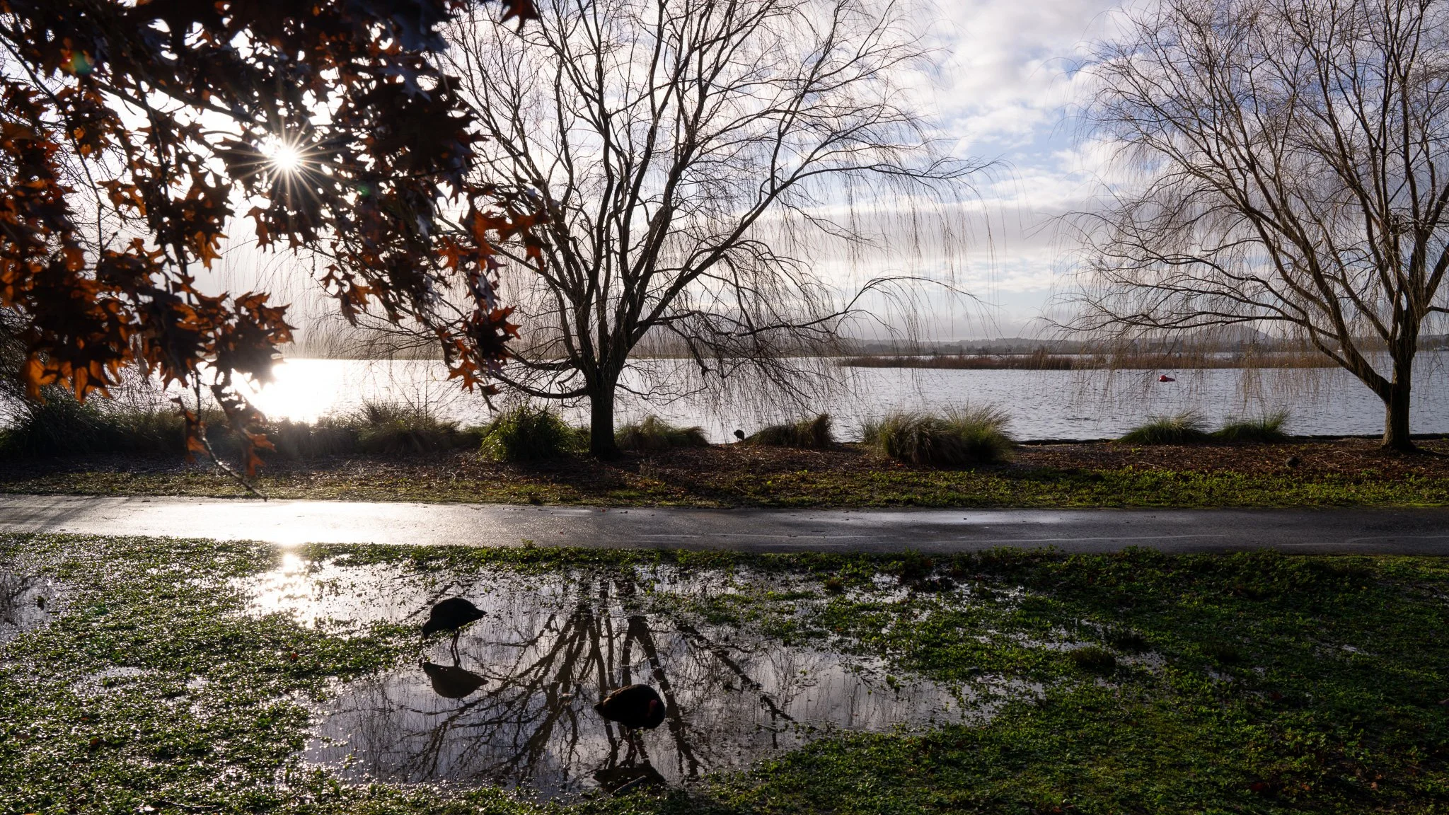 Lake Wendouree