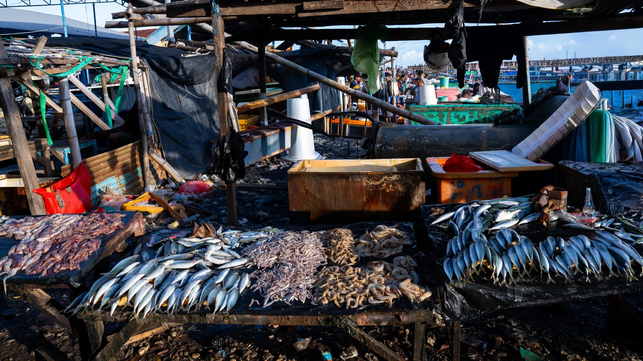 Oeba Fish Market