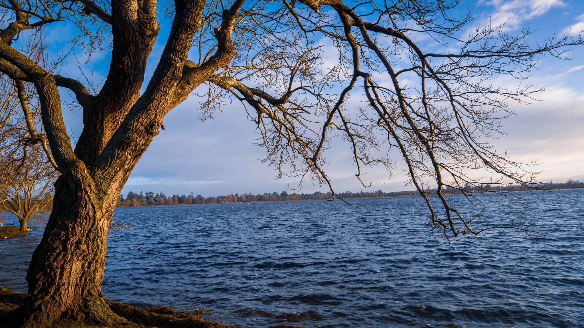 Lake Wendouree