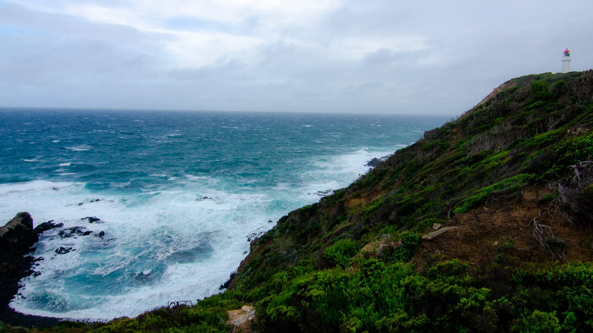 DSC_6538.jpg