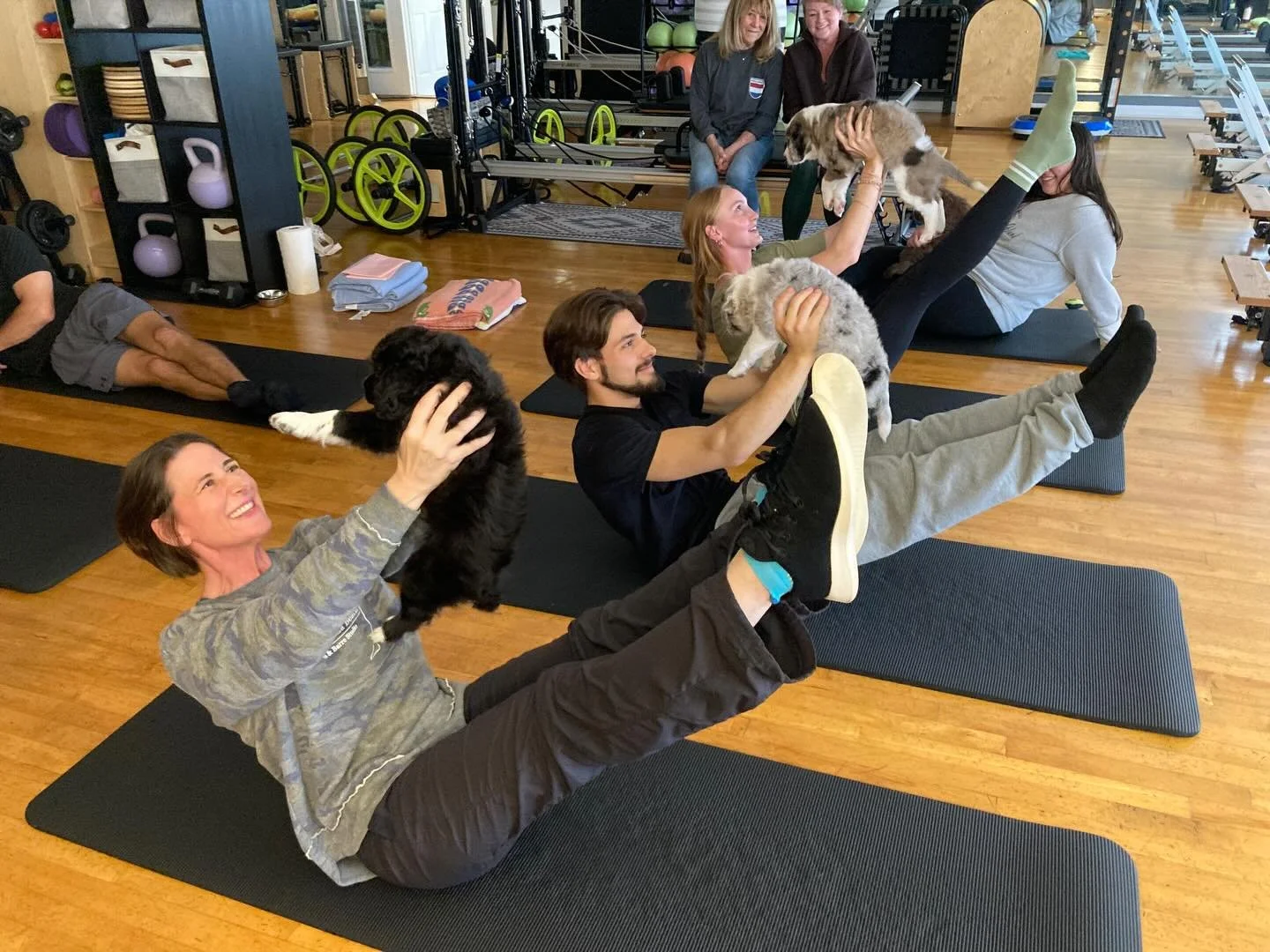 Happy Teaser Tuesday!!

#puppies #puppy #teaser #teasertuesday #pilates #matpilates #pilatesmat #pilates4virginiabeach