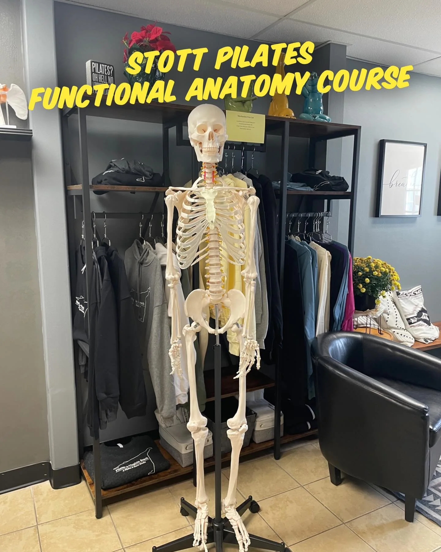 Our 2026 STOTT PILATES Instructor Training Program begins on February 21st.  The Functional Anatomy Course is a prerequisite for all of the Intensive Training programs and is also a terrific opportunity to review prior to testing out for your certifi