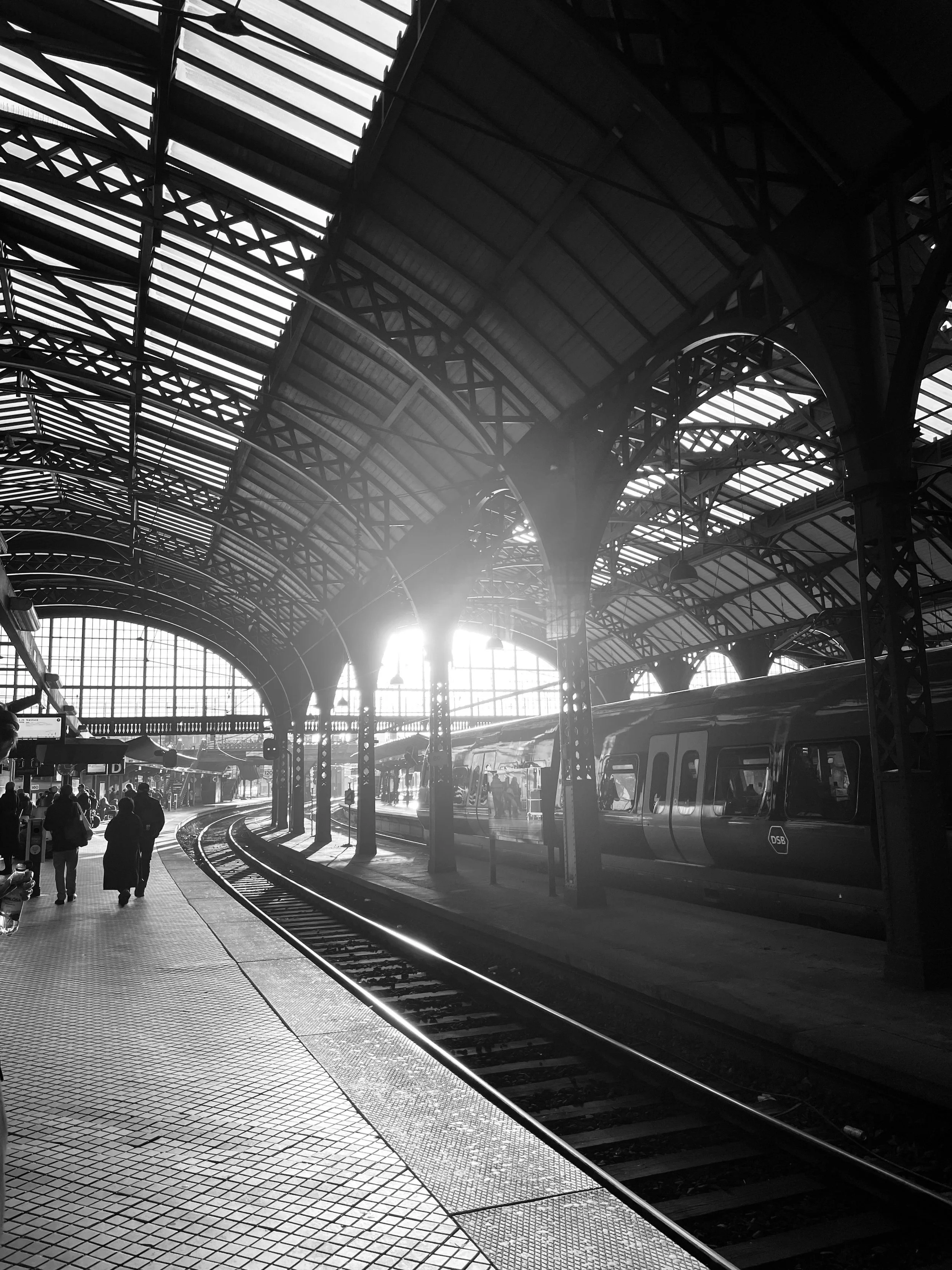 Denmark Diaries – Winter 2025